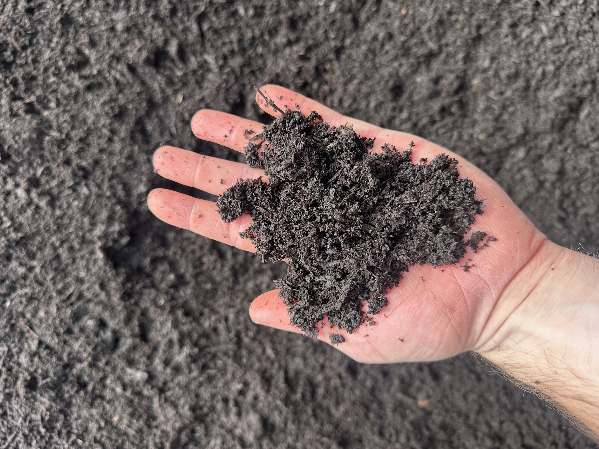 https://shop2.three-z.com/storage/photos/1/Products/Mulch/Sweet Peet/SWEET PEET 2.jpg